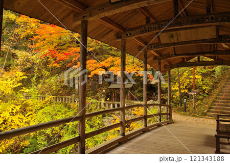 鹿教湯温泉の紅葉 121343188