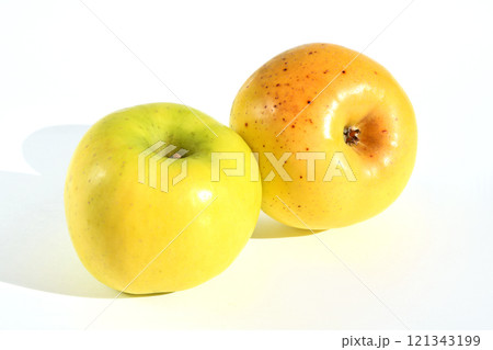 りんご(青林りんご) りんご(青林りんご) 121343199