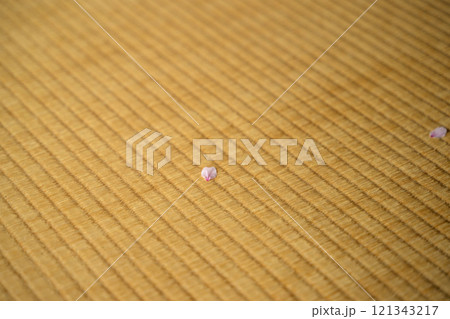 舞い込んだ畳の上の桜の花弁 121343217