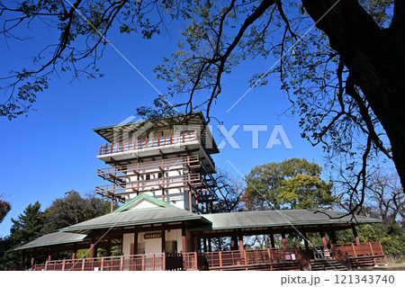晩秋の枡形山展望台 晩秋の枡形山展望台 121343740