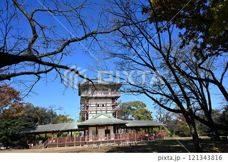 晩秋の枡形山展望台 121343816