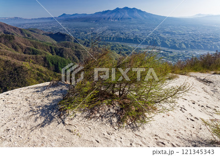 日向山・ガンガワラから見る八ヶ岳連峰 121345343
