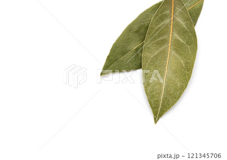 ローリエの葉 121345706