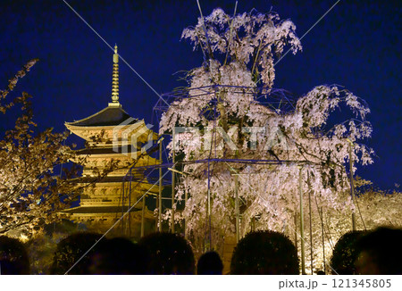 東寺の不二桜ライトアップ 121345805