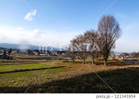 暦の上では師走だがまだ温かい温暖化の岩手県紫波町の田園風景 121345954