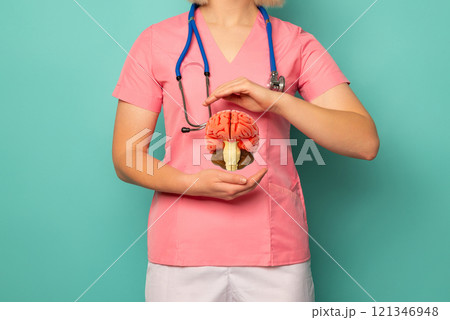 Doctor hold in hand anatomical model human brain. 121346948