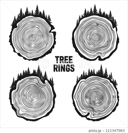 Round tree trunk cuts with trees and forest. Sawn pine or oak slices, lumber. Saw cut timber, wood. Brown wooden texture with tree rings. Hand drawn sketch. Vector illustration Round tree trunk cuts with trees and forest. Sawn pine or oak slices, lumber. Saw cut timber, wood. Brown wooden texture with tree rings. Hand drawn sketch. Vector illustration 121347063