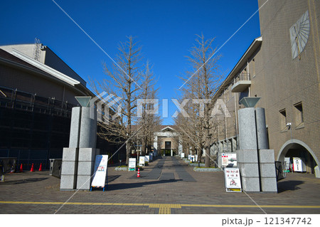 東京都立大学 121347742