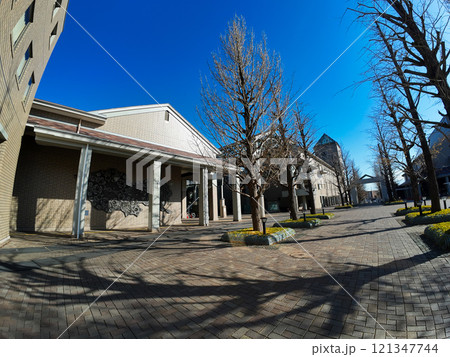 東京都立大学 121347744