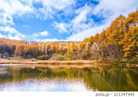秋の中牧湖【聖高原】 121347945