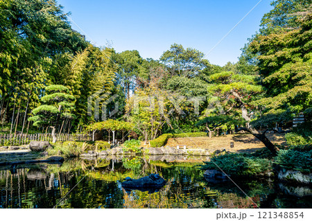 《平塚市総合公園》池のある庭園(神奈川県平塚市) 《平塚市総合公園》池のある庭園(神奈川県平塚市) 121348854