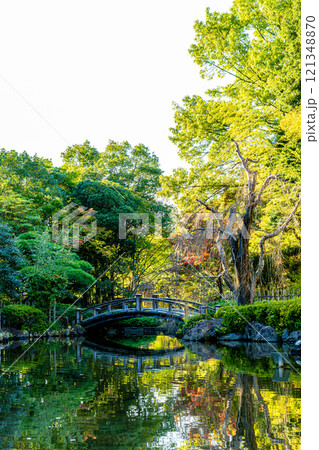 《平塚市総合公園》橋のある庭園の景色（神奈川県平塚市） 121348870