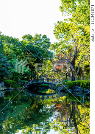 《平塚市総合公園》橋のある庭園の景色（神奈川県平塚市） 121348871