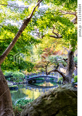 《平塚市総合公園》秋の庭園の景色(神奈川県平塚市) 《平塚市総合公園》秋の庭園の景色(神奈川県平塚市) 121348884