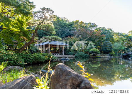 《平塚市総合公園》池のある庭園(神奈川県平塚市) 《平塚市総合公園》池のある庭園(神奈川県平塚市) 121348888