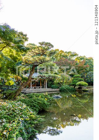 《平塚市総合公園》池のある庭園(神奈川県平塚市) 《平塚市総合公園》池のある庭園(神奈川県平塚市) 121348904