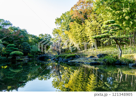 《平塚市総合公園》初秋の庭園の景色(神奈川県平塚市) 《平塚市総合公園》初秋の庭園の景色(神奈川県平塚市) 121348905