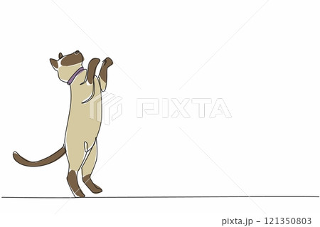 Continuous one line drawing siamese cat posing. Movement invites to play. Cats full of joy. Cheerful. Performing like in a circus. National Siamese Cat Day. Single line draw design vector illustration Continuous one line drawing siamese cat posing. Movement invites to play. Cats full of joy. Cheerful. Performing like in a circus. National Siamese Cat Day. Single line draw design vector illustration 121350803