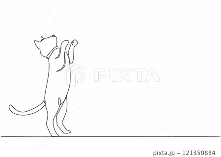 Continuous one line drawing siamese cat posing. Movement invites to play. Cats full of joy. Cheerful. Performing like in a circus. National Siamese Cat Day. Single line draw design vector illustration Continuous one line drawing siamese cat posing. Movement invites to play. Cats full of joy. Cheerful. Performing like in a circus. National Siamese Cat Day. Single line draw design vector illustration 121350834