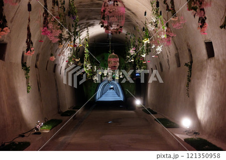 Flowers exposed on Floraart, 52 international garden exhibition in tunnel Gric in Zagreb 121350958