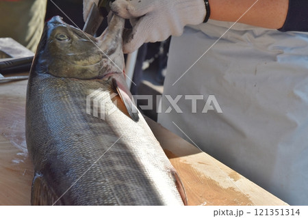 塩引き鮭の作成　新潟 121351314