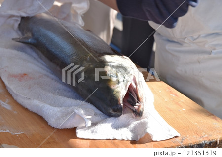 塩引き鮭の作成　新潟 121351319