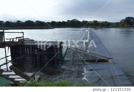 三面川のウライ漁 新潟 三面川のウライ漁 新潟 121351330