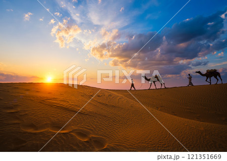 Indian cameleers camel drivers camel silhouettes in dunes on sunset. Jaisalmer, Rajasthan, India 121351669
