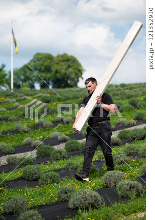 A man carries a wooden board to install a wooden gazebo in a lavender field. 121352910