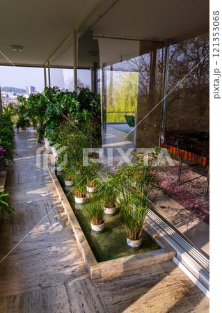 Various green plants in winter garden modern atrium, sunny spring day, clear blue sky city background 121353068