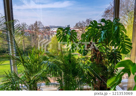 Various green plants in winter garden modern atrium, sunny spring day, clear blue sky city background 121353069