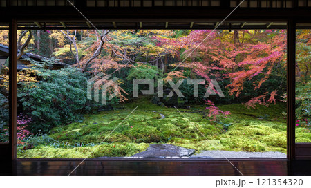 秋の瑠璃光院 121354320