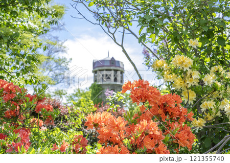 ツツジ　百合が原公園　札幌市 121355740
