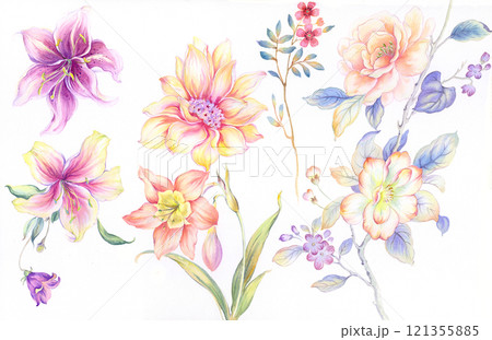 Beautiful Floral Curly Hand Illustrated Patterns Beautiful Floral Curly Hand Illustrated Patterns 121355885