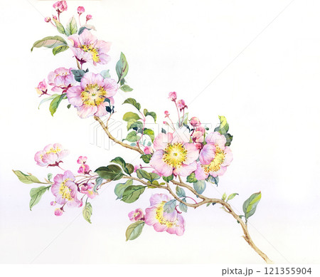 Imaginative Hand  Painted Curly Floral Creations 121355904