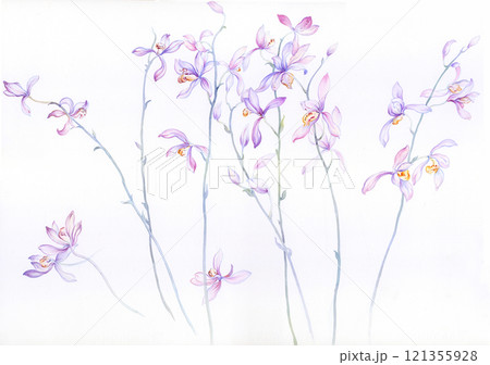 Aesthetic Hand   Drawn Floral Curly Graphics 121355928