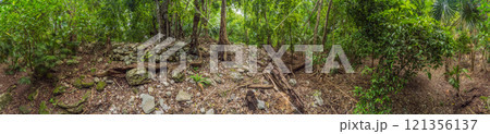 Scenic panoramic pathway winding through lush Mexican jungle, surrounded by vibrant greenery and tropical plants. Adventure, nature exploration, and eco-tourism concept in a stunning natural setting Scenic panoramic pathway winding through lush Mexican jungle, surrounded by vibrant greenery and tropical plants. Adventure, nature exploration, and eco-tourism concept in a stunning natural setting 121356137