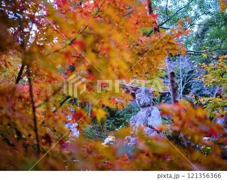 《高知県》竹林寺の紅葉 121356366