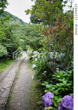 東雲の里の美しい風景 121356635