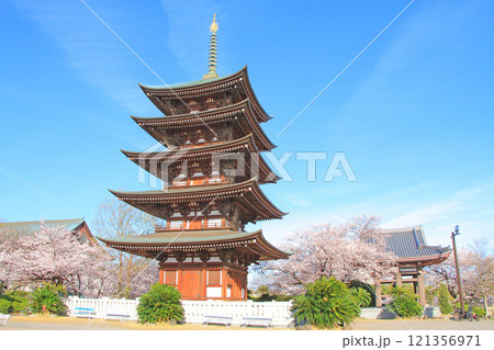 名古屋市、覚王山日泰寺五重塔と桜の風景 名古屋市、覚王山日泰寺五重塔と桜の風景 121356971