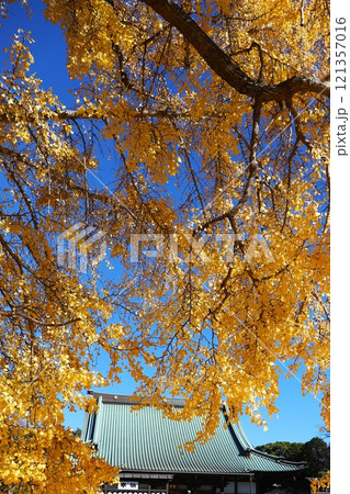 遊行寺の本堂と大銀杏 121357016