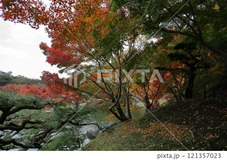 栗林公園、南湖の楓岸の紅葉 121357023