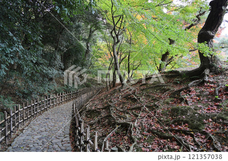 栗林公園、南湖楓岸の周遊の小径と紅葉 121357038