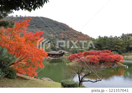 栗林公園南庭南湖、楓岸と楓嶼の紅葉と掬月亭 栗林公園南庭南湖、楓岸と楓嶼の紅葉と掬月亭 121357041