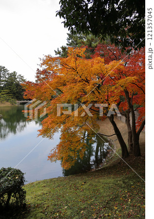 栗林公園南庭南湖、楓岸の紅葉と迎春橋 121357045