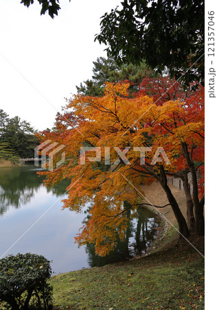 栗林公園南庭南湖、楓岸の紅葉と迎春橋 121357046