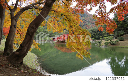 栗林公園南庭南湖、楓岸と楓嶼の紅葉と掬月亭 栗林公園南庭南湖、楓岸と楓嶼の紅葉と掬月亭 121357051