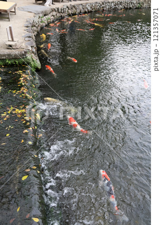 栗林公園の吹上から南庭南湖にそそぎ込む伏流水 栗林公園の吹上から南庭南湖にそそぎ込む伏流水 121357071
