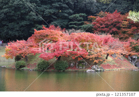 栗林公園の南庭南湖、紅葉の楓嶼、楓岸 栗林公園の南庭南湖、紅葉の楓嶼、楓岸 121357107