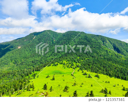 夏の四阿山・根子岳登山(根子岳~四阿山) 夏の四阿山・根子岳登山(根子岳~四阿山) 121357381